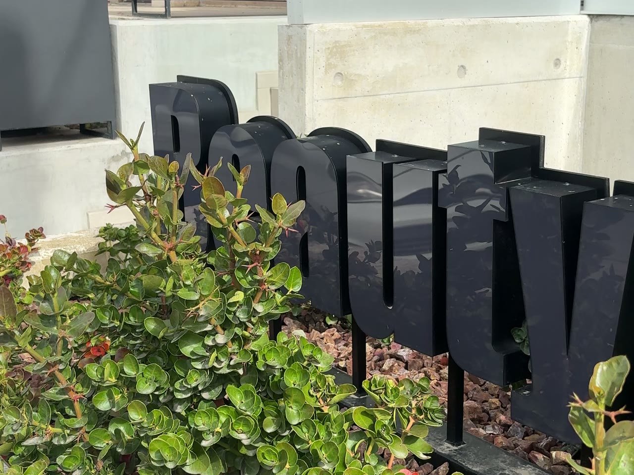 The raised Beauty in the City lettering in the planter outside the salon